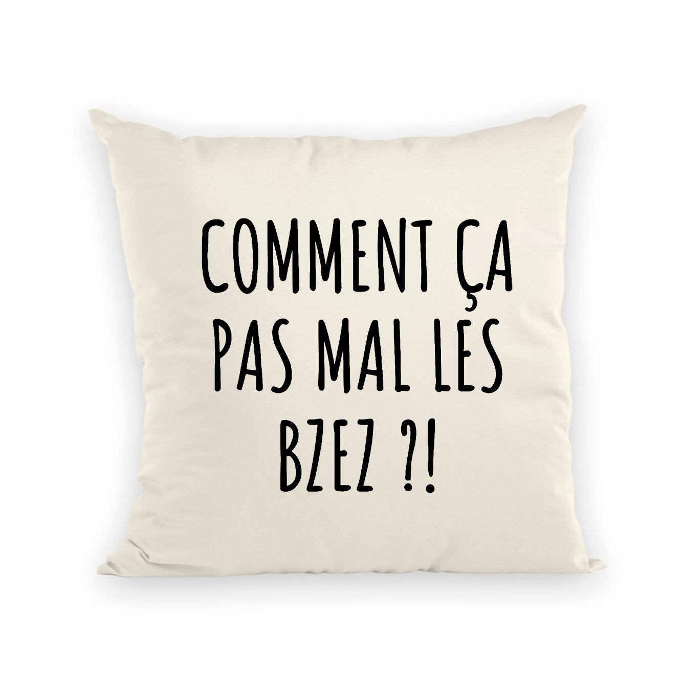 Coussin Comment ça pas mal les bzez ?