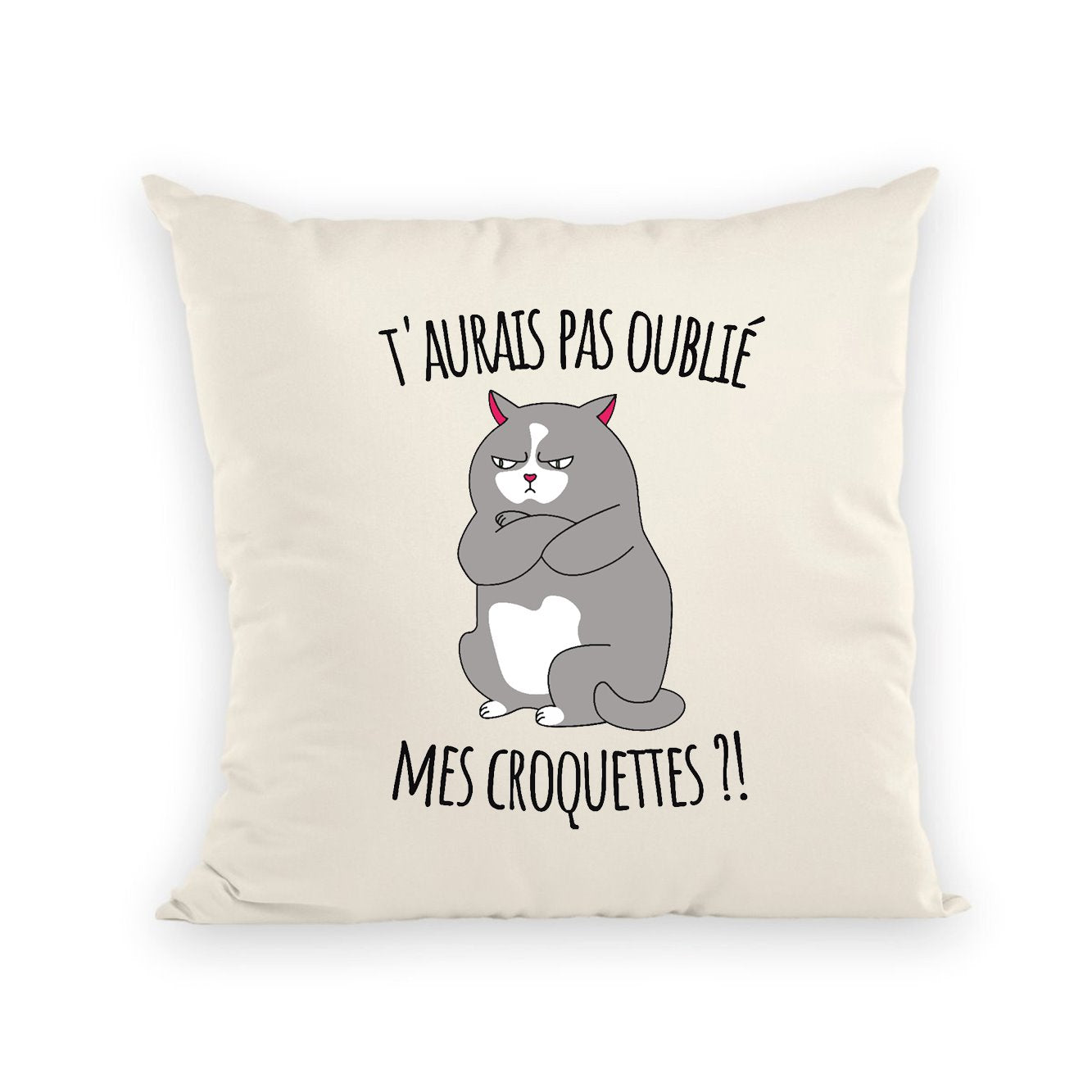 Coussin T'aurais pas oublié mes croquettes ?