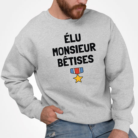 Sweat Adulte Élu monsieur bêtises Gris