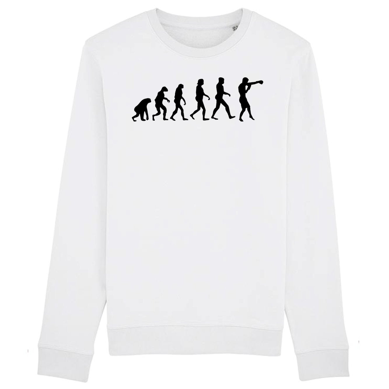 Sweat Adulte Évolution boxe