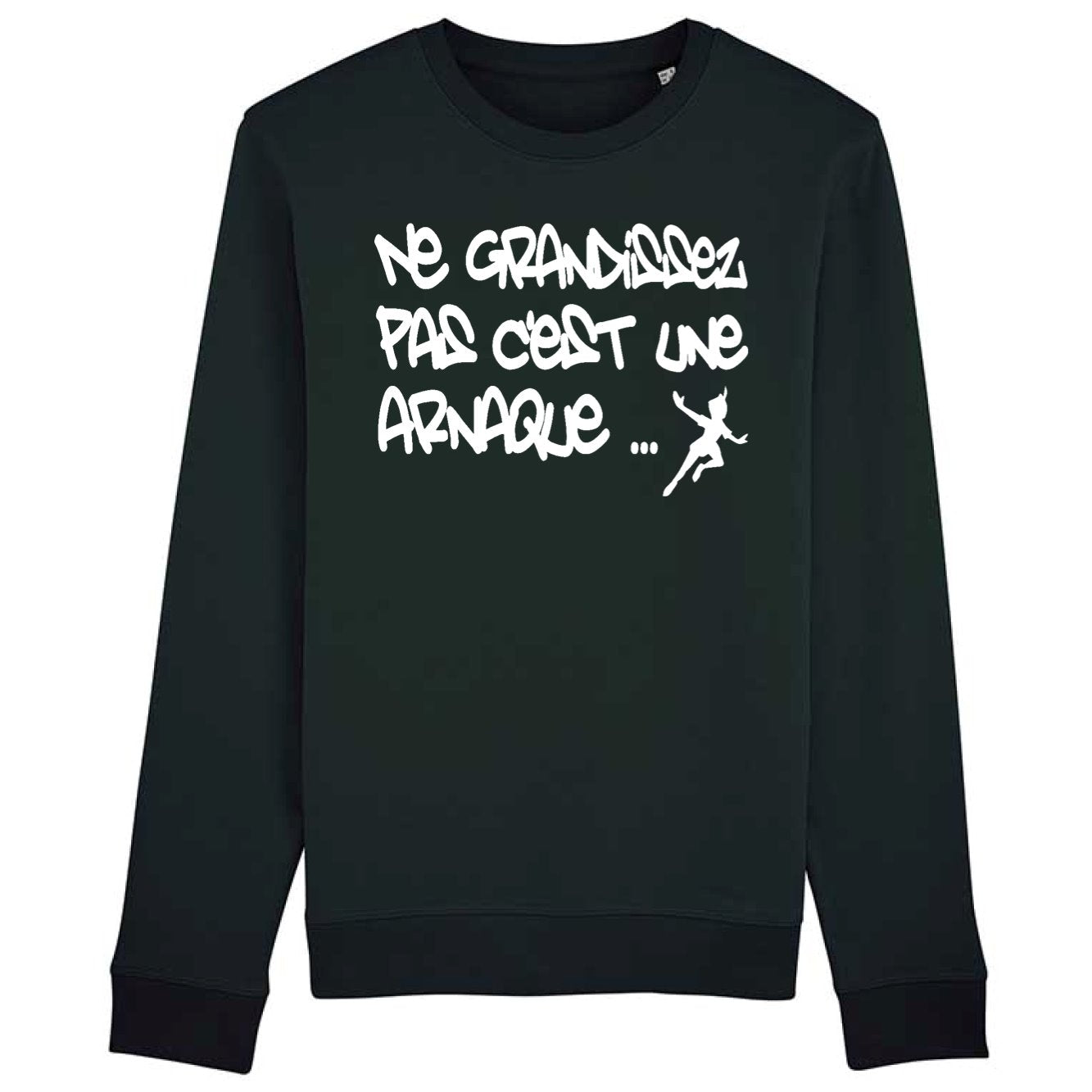 Sweat Adulte Ne grandissez pas c'est une arnaque