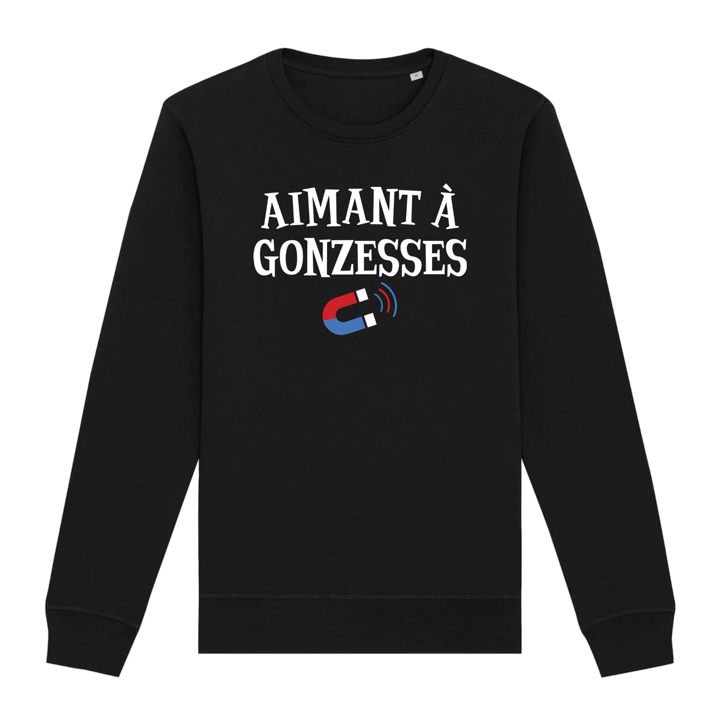 Sweat Adulte Aimant à gonzesses 