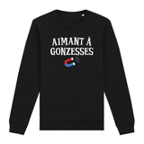 Sweat Adulte Aimant à gonzesses 