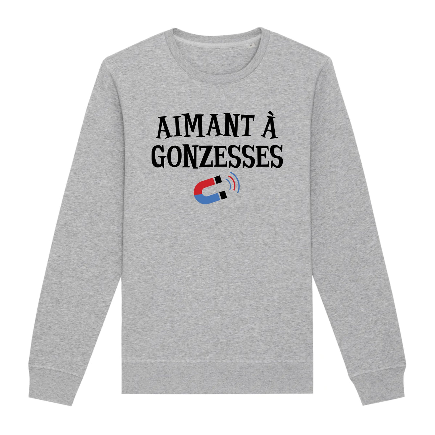 Sweat Adulte Aimant à gonzesses 