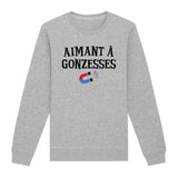 Sweat Adulte Aimant à gonzesses 