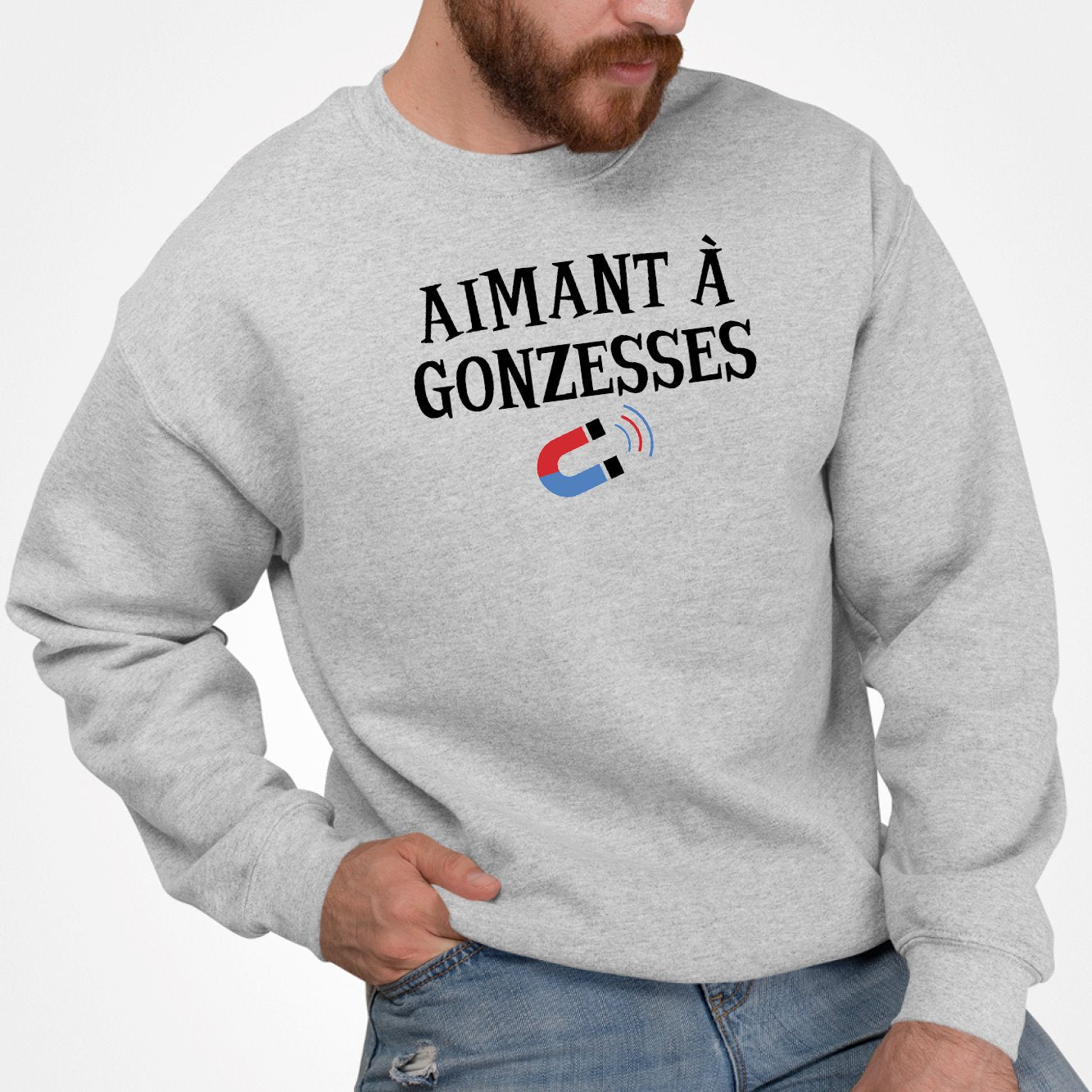 Sweat Adulte Aimant à gonzesses Gris