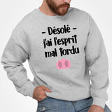 Sweat Adulte Esprit mal tordu Gris