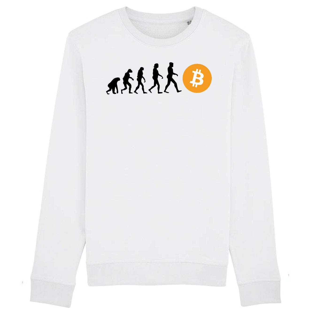 Sweat Adulte Évolution Bitcoin 