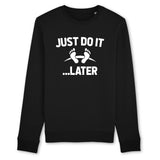 Sweat Adulte Just do it later 