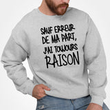 Sweat Adulte Sauf erreur j'ai raison Gris