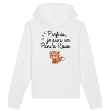 Sweat Capuche Adulte Panda roux 