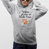 Sweat Capuche Adulte Panda roux Gris