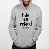 Sweat Capuche Adulte Pile en retard Gris